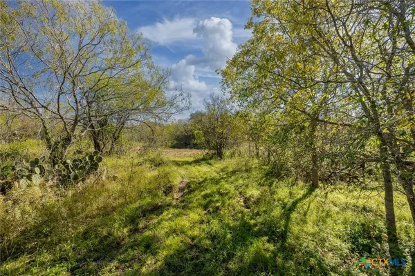 a view of a yard with an trees
