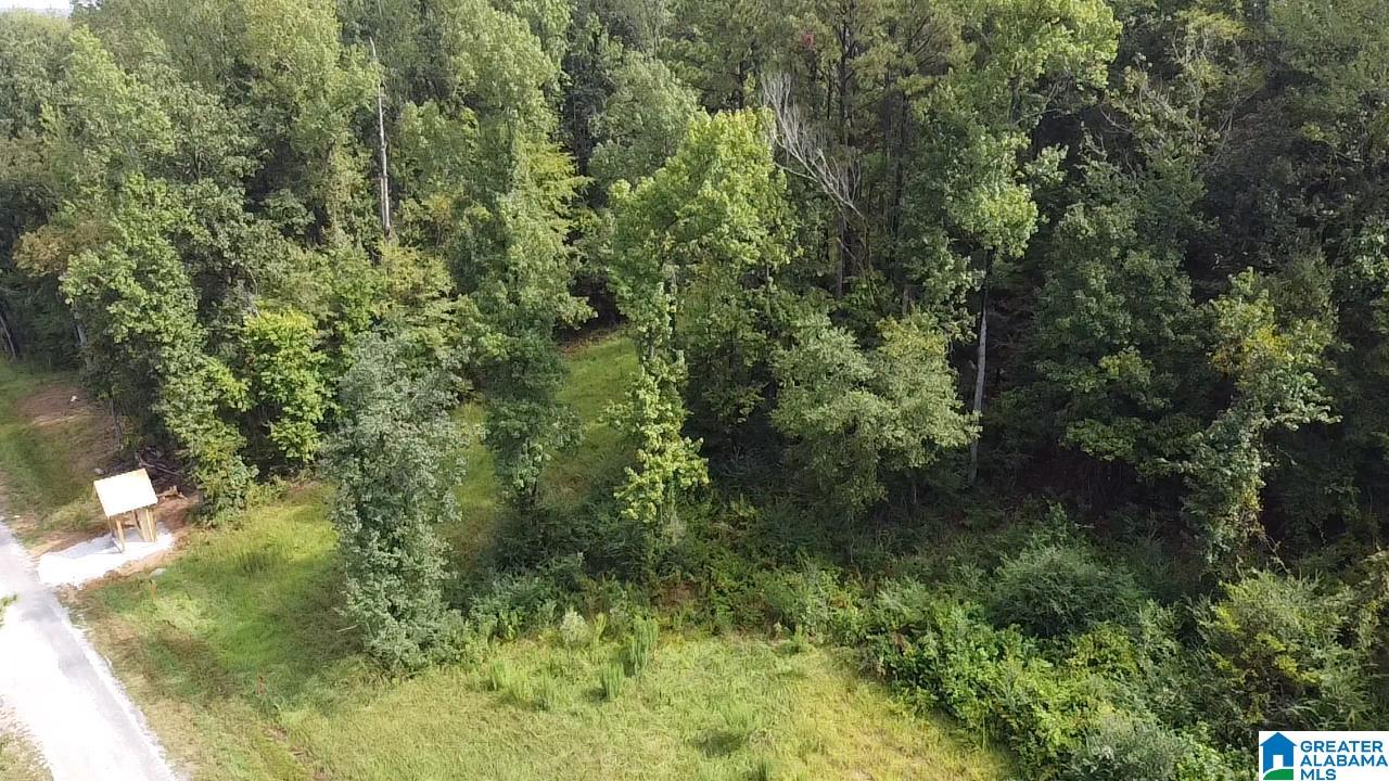 58 Rustic Oaks Drive Sterrett, AL 35147 - Photo 2 of 30
