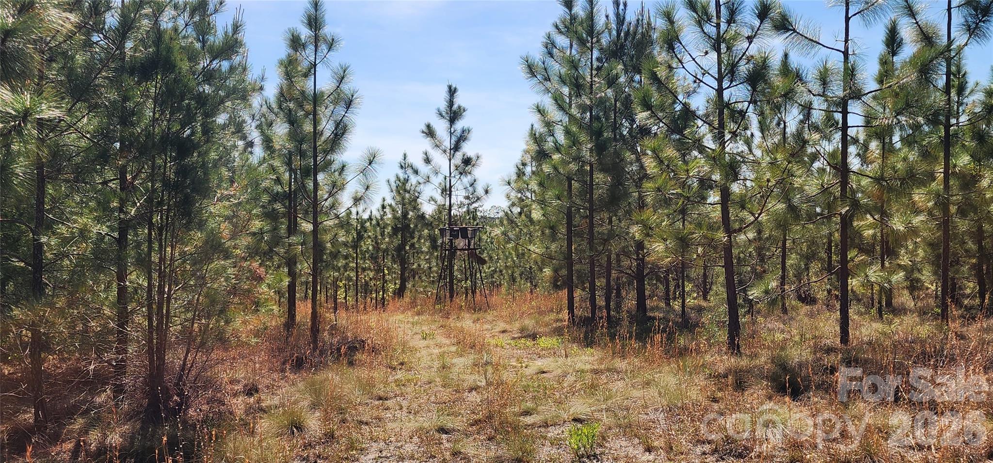 1045 McQueen Road Patrick, SC 29584 - Photo 14 of 32