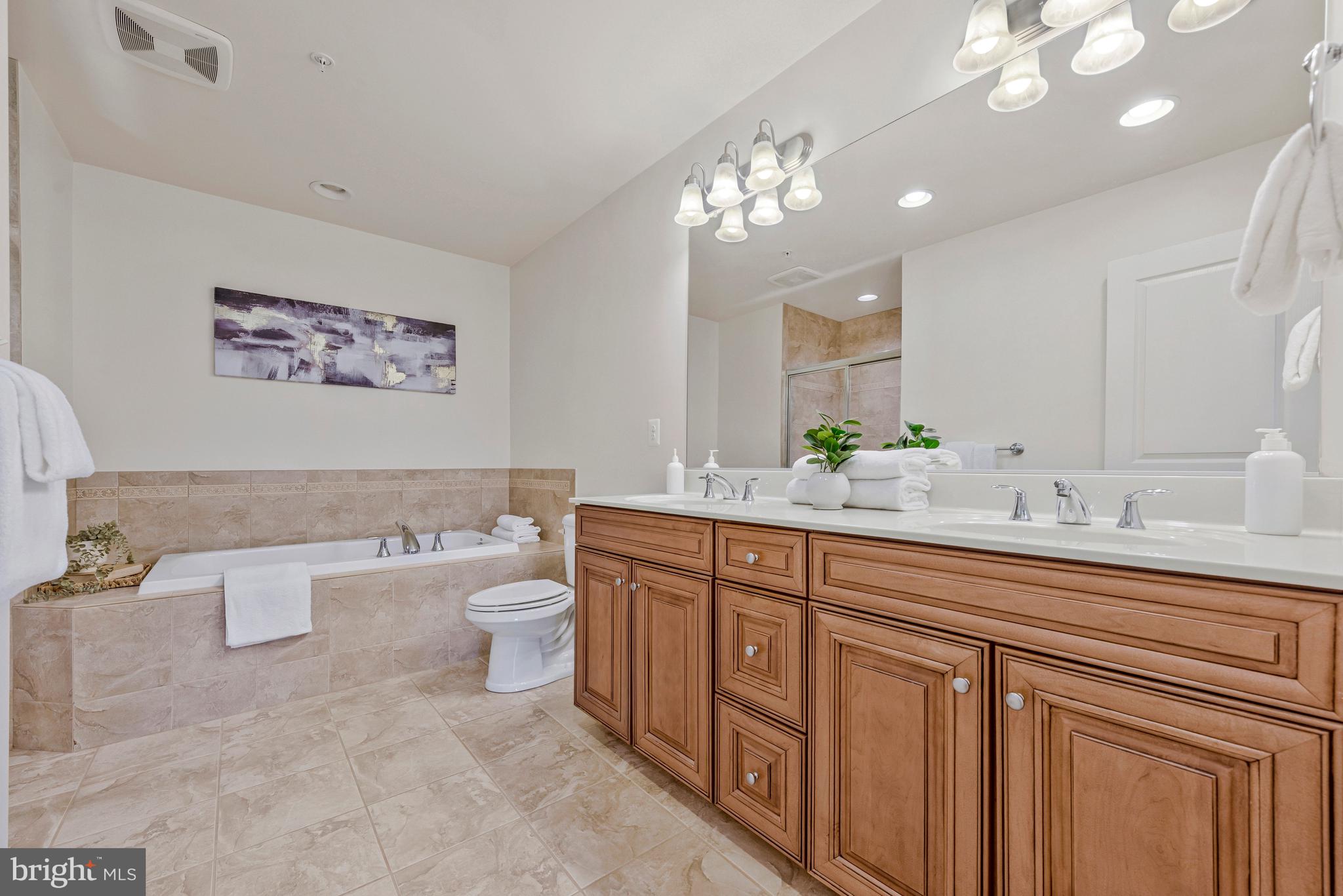 32 Boucher Place Annapolis, MD 21403 - Photo 23 of 72 a spacious bathroom with a granite countertop toilet a sink a mirror and a bathtub