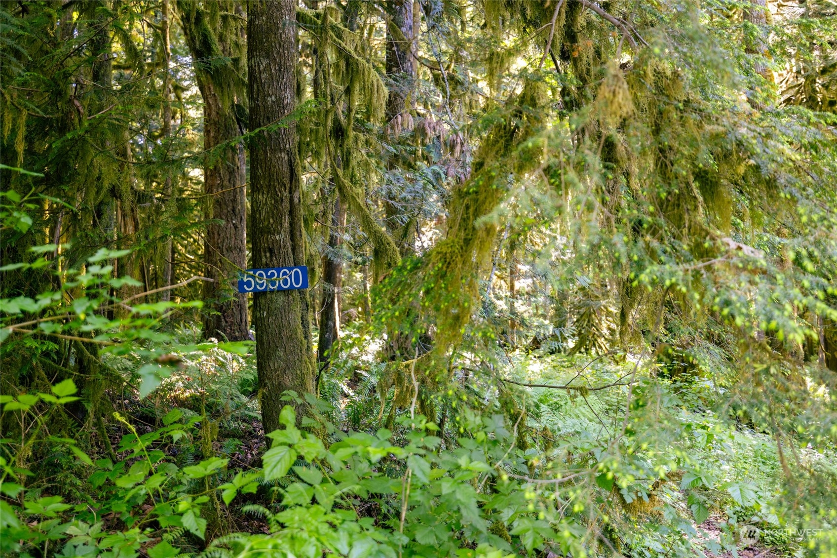 59360 Marblegate Road Marblemount, WA 98267 - Photo 2 of 3 Gallery Image 2