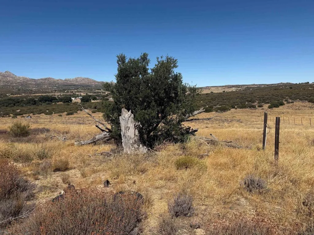 0 Montezuma Valley Ranchita, CA 92066 - Photo 3 of 13
