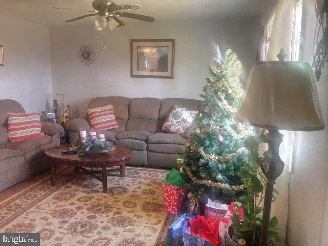 Roomy enough to hold holiday decor!