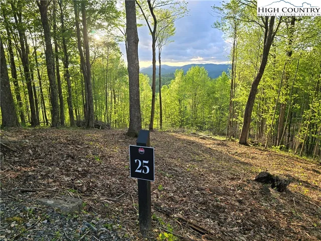 $275,000 | Lot 25 Deer Trail Lane, Elk Park, NC 28622