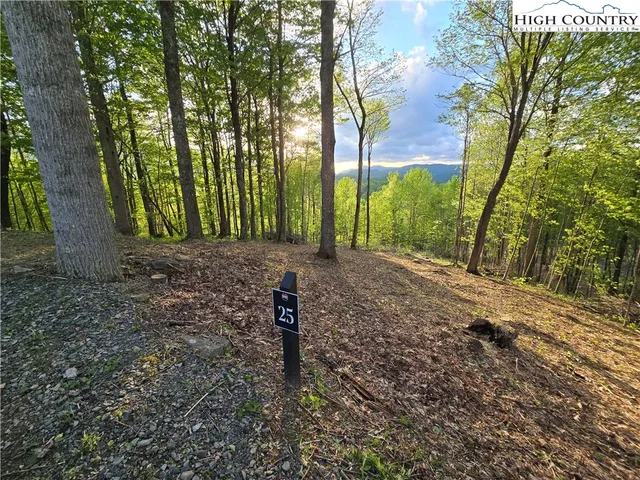 $275,000 | Lot 25 Deer Trail Lane, Elk Park, NC 28622