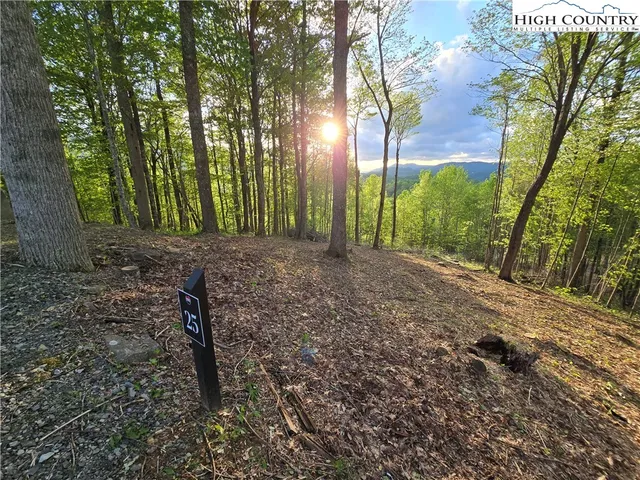 $275,000 | Lot 25 Deer Trail Lane, Elk Park, NC 28622