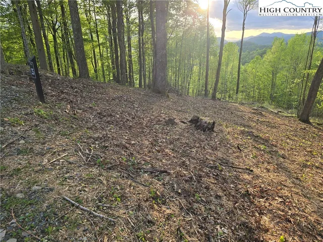 $275,000 | Lot 25 Deer Trail Lane, Elk Park, NC 28622