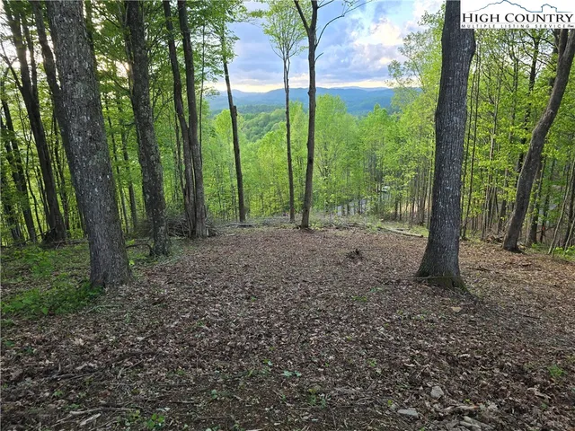 $275,000 | Lot 25 Deer Trail Lane, Elk Park, NC 28622