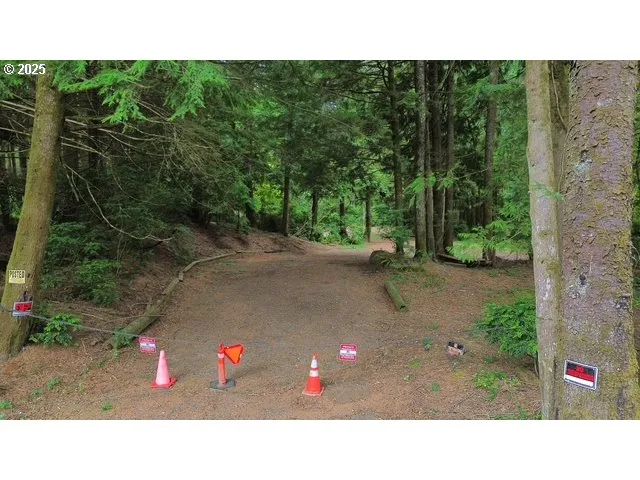 a black and white photo of a park