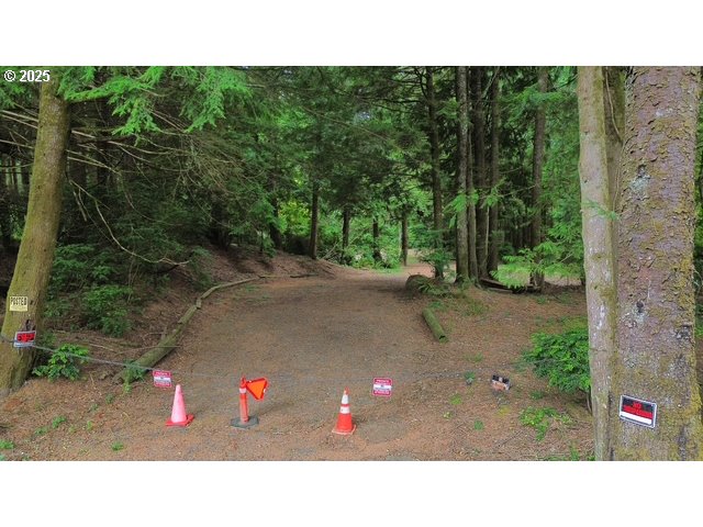 a black and white photo of a park