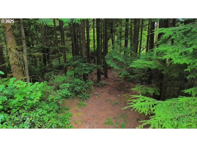 1113 North Loftus Road Florence, OR 97439 - Photo 11 of 22 a black and white photo of a house