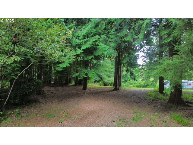 1113 North Loftus Road Florence, OR 97439 - Photo 12 of 22 a open area with trees in the background