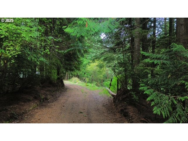 1113 North Loftus Road Florence, OR 97439 - Photo 13 of 22 a open area with trees in the background