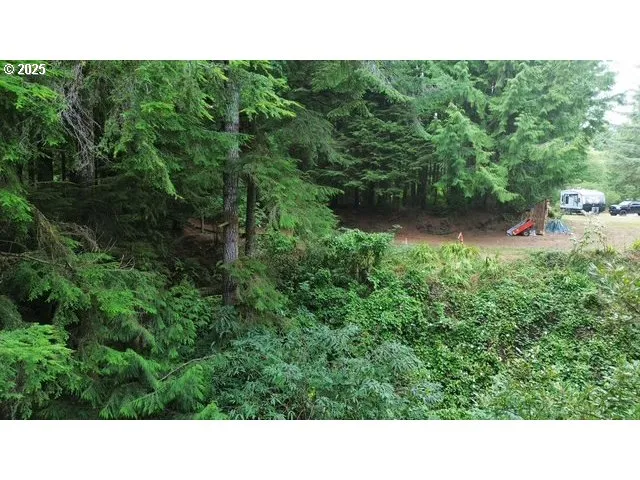 a open area with trees in the background