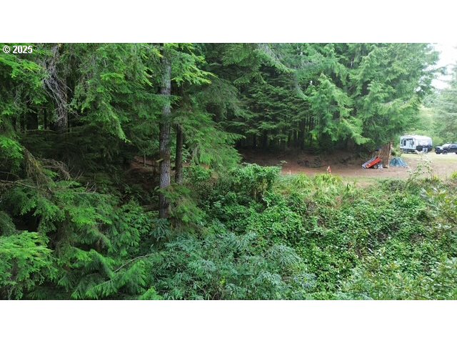 1113 North Loftus Road Florence, OR 97439 - Photo 14 of 22 a open area with trees in the background