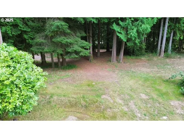 a view of a backyard with plants