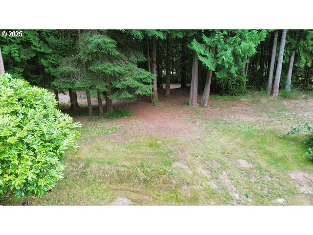 1113 North Loftus Road Florence, OR 97439 - Photo 15 of 22 a view of a backyard with plants