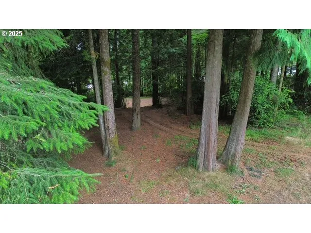 a open area with a yard