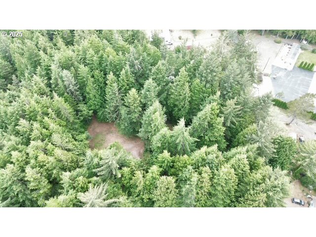 1113 North Loftus Road Florence, OR 97439 - Photo 17 of 22 a open area with green space