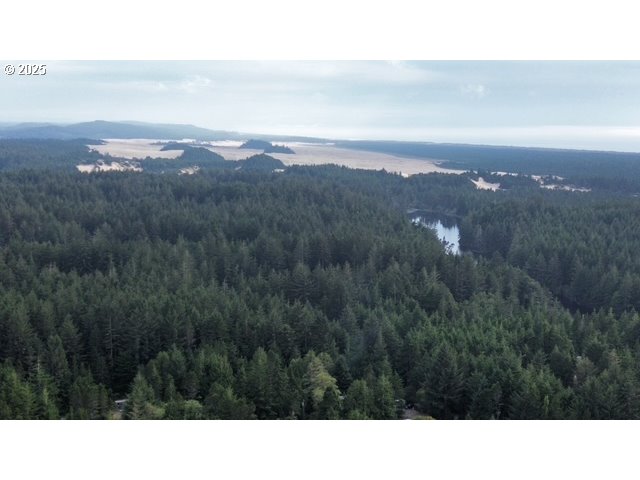 1113 North Loftus Road Florence, OR 97439 - Photo 19 of 22 a black and white photo of a city