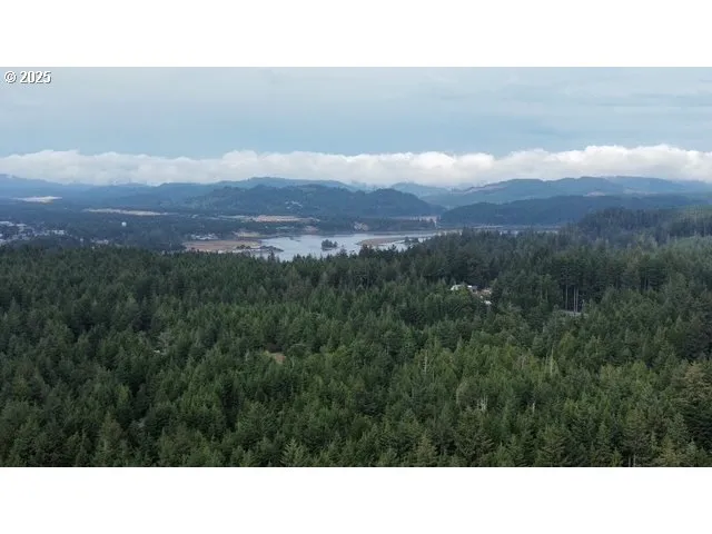 a black and white photo of a lake