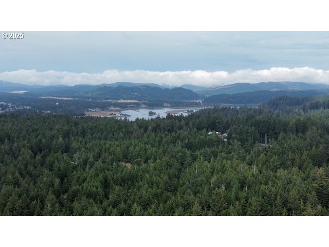 1113 North Loftus Road Florence, OR 97439 - Photo 20 of 22 a black and white photo of a lake