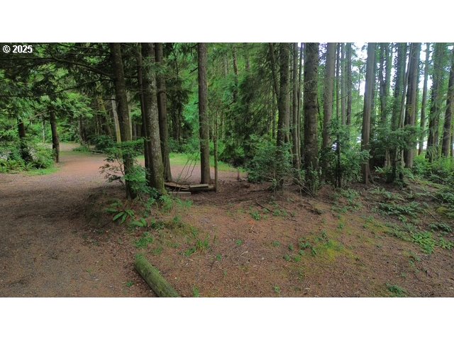 1113 North Loftus Road Florence, OR 97439 - Photo 2 of 22 a open area with trees in the background