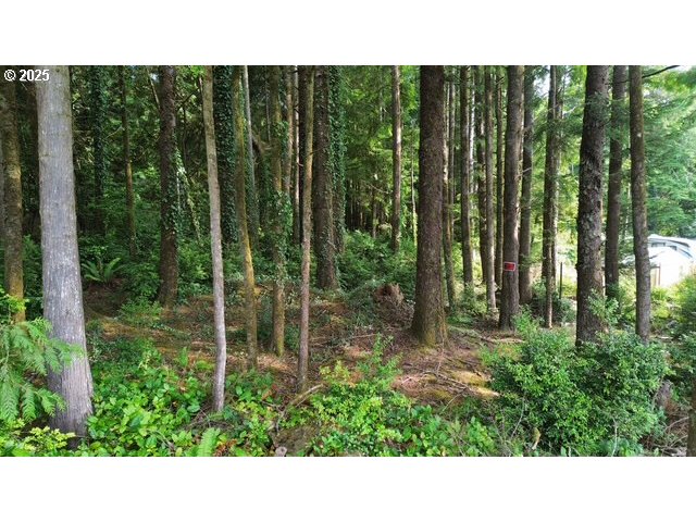 1113 North Loftus Road Florence, OR 97439 - Photo 22 of 22 a view of a garden