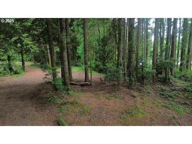 1113 North Loftus Road Florence, OR 97439 - Photo 3 of 22 a open area with trees in the background