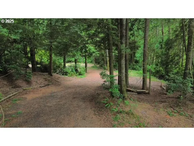 a open area with trees in the background