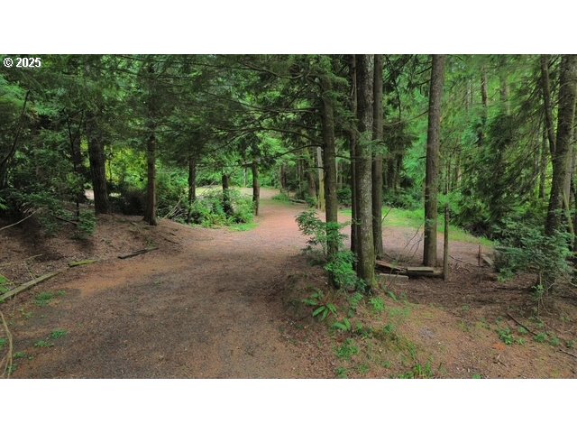 1113 North Loftus Road Florence, OR 97439 - Photo 4 of 22 a open area with trees in the background