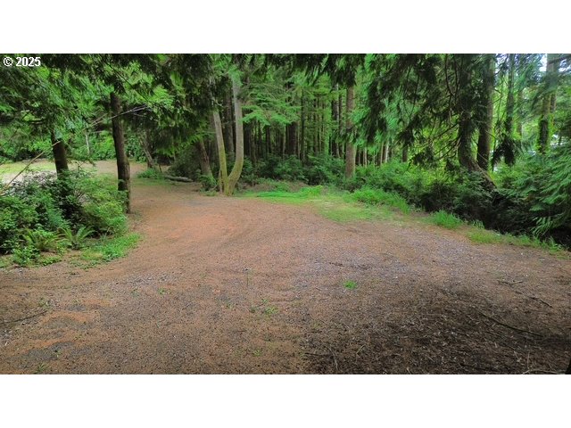 1113 North Loftus Road Florence, OR 97439 - Photo 5 of 22 a view of a backyard