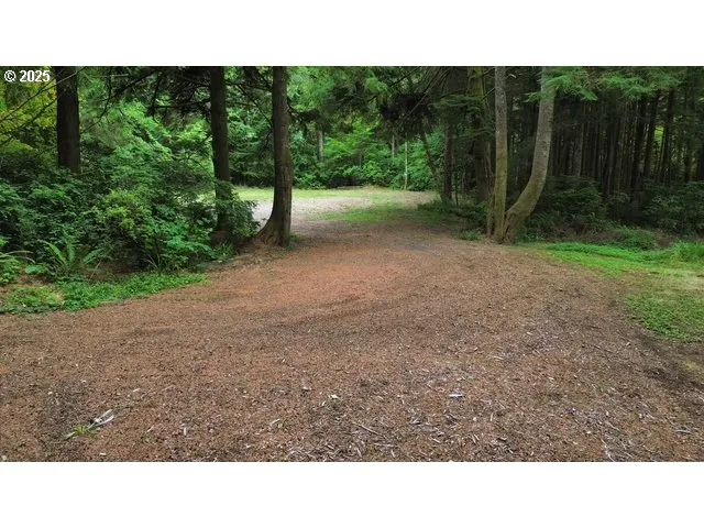 a open area with trees in the background