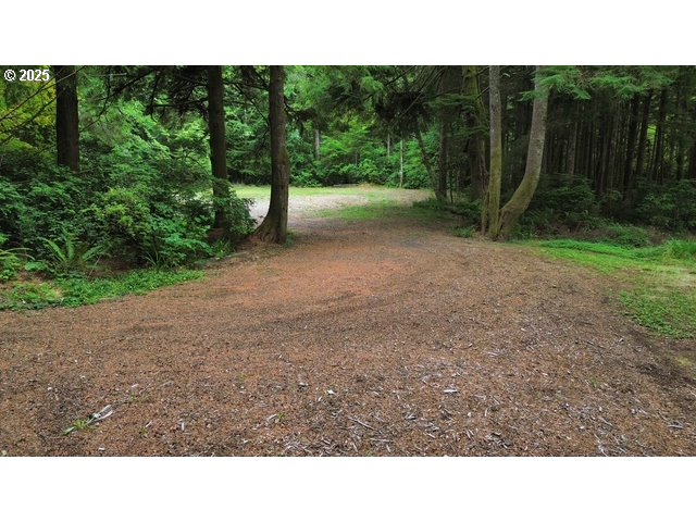 1113 North Loftus Road Florence, OR 97439 - Photo 6 of 22 a open area with trees in the background