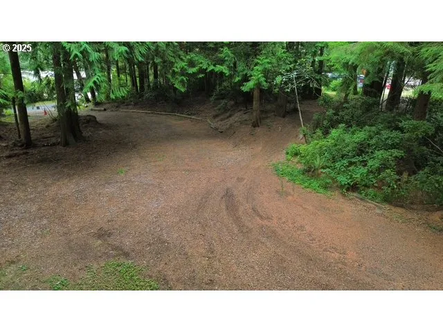 a open area with trees in the background