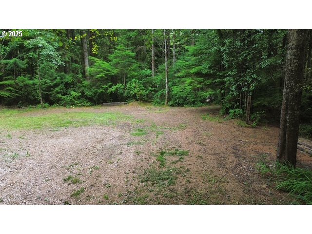 1113 North Loftus Road Florence, OR 97439 - Photo 9 of 22 a view of a backyard