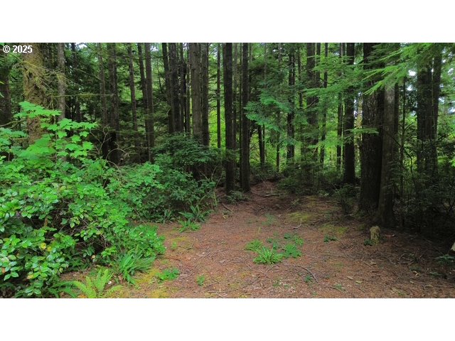 1113 North Loftus Road Florence, OR 97439 - Photo 10 of 22 a view of a backyard