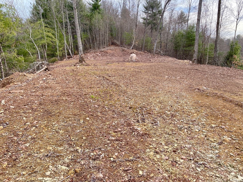 Tbd Jasper Creek Road Bristol, VA 24202 - Photo 13 of 21 Gallery Image 13