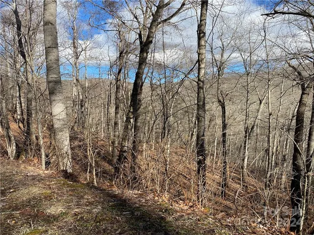 $10,000 | 0 Birdymay Drive, Unit 137, Tuckasegee, NC 28783