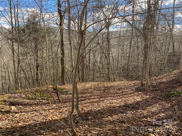 $10,000 | 0 Birdymay Drive, Unit 137, Tuckasegee, NC 28783