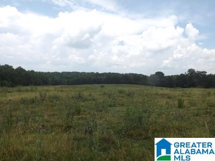0 Highway 24 Oneonta Al Oneonta, AL 35121 - Photo 12 of 27