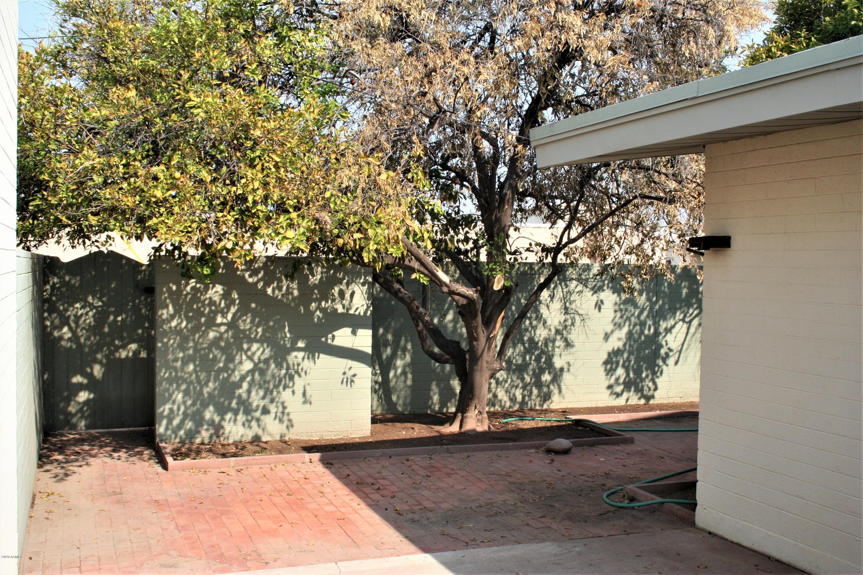 3405 South Wilson Street Tempe, AZ 85282 - Photo 21 of 21 Backyard
