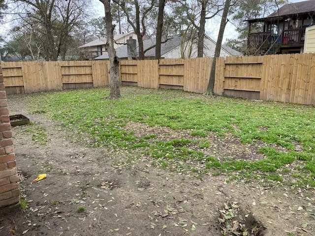 a view of a backyard