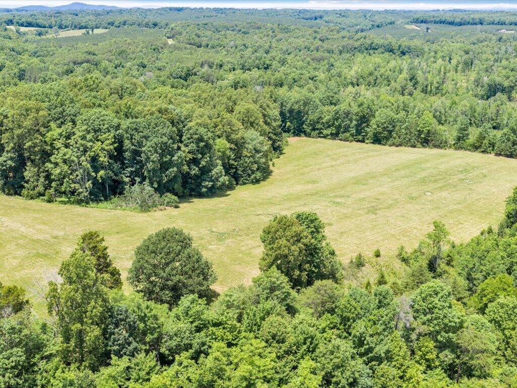 247 Powell Road Ridgeway, VA 24148 - Photo 84 of 90 84-DJI_20260531131346_0020_D