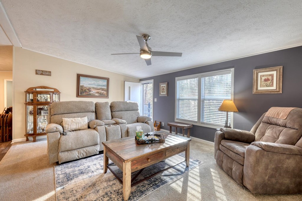 358 Old Beech Road Blairsville, GA 30512 - Photo 2 of 47