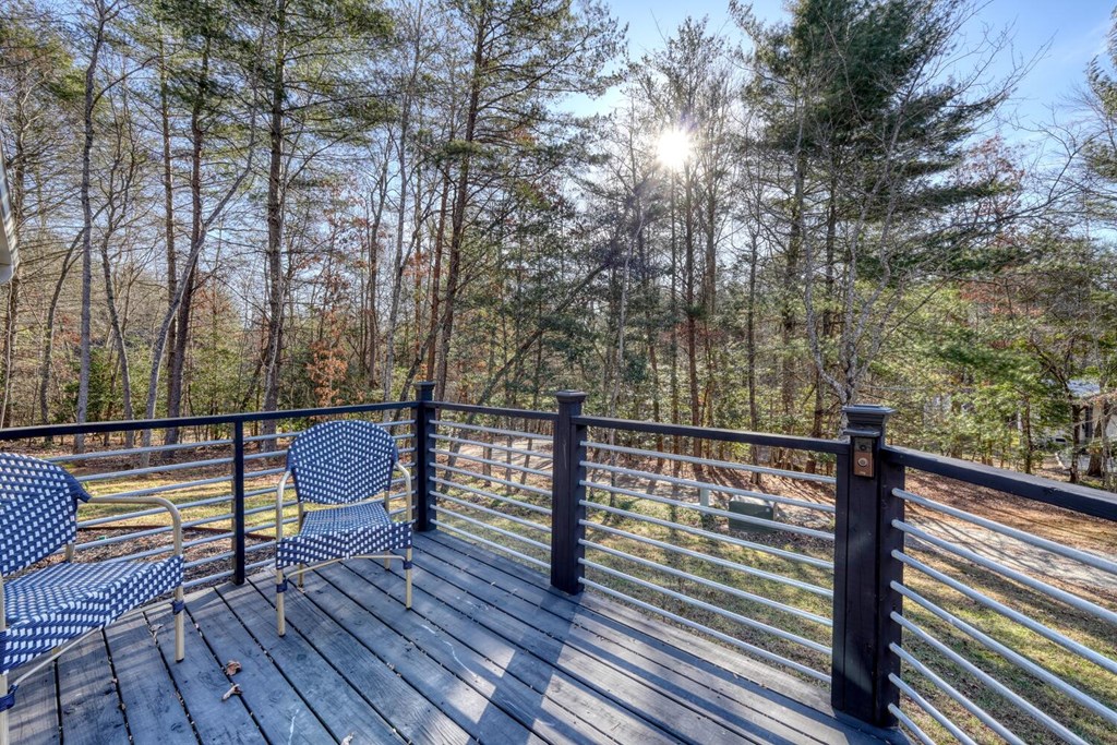 358 Old Beech Road Blairsville, GA 30512 - Photo 36 of 47