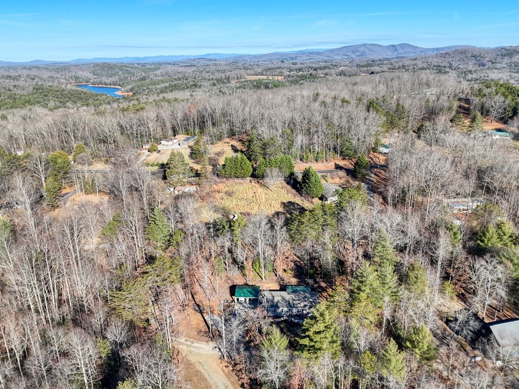 358 Old Beech Road Blairsville, GA 30512 - Photo 44 of 47