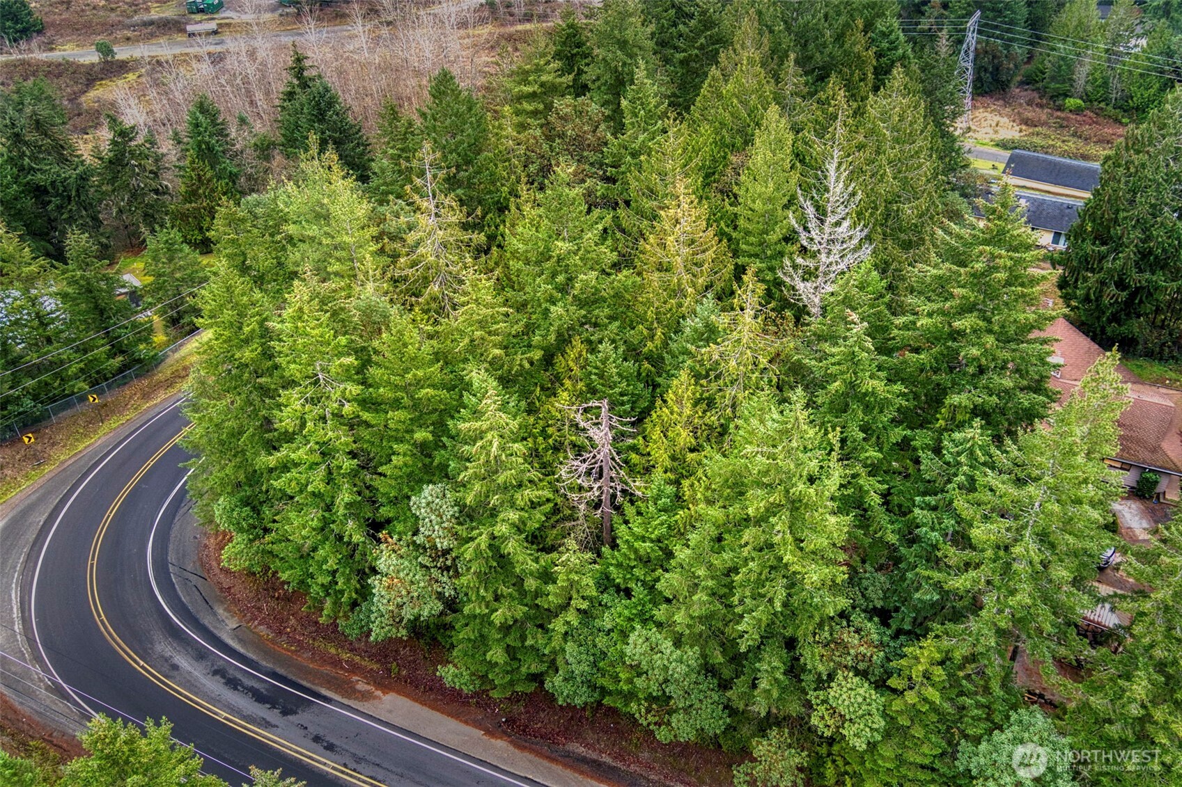 0 Dickey Road Northwest Silverdale, WA 98383 - Photo 11 of 21 a view of a yard with plants