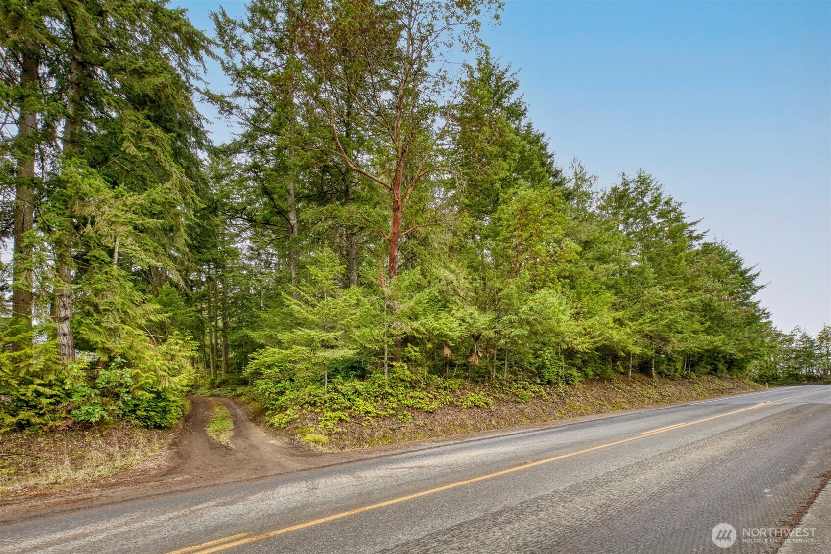 0 Dickey Road Northwest Silverdale, WA 98383 - Photo 14 of 21 a view of a yard from a window