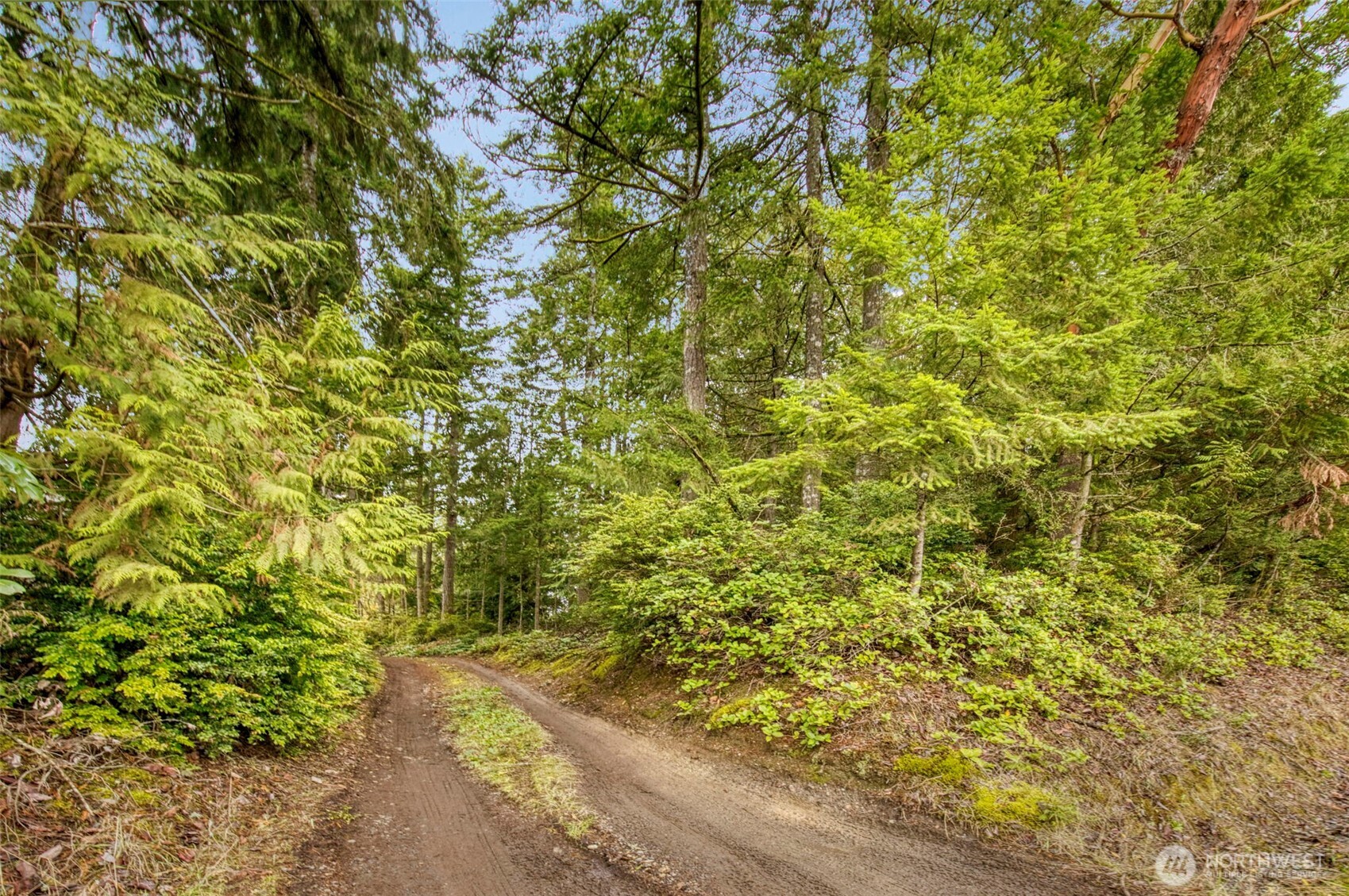 0 Dickey Road Northwest Silverdale, WA 98383 - Photo 15 of 21 a view of a yard with plants